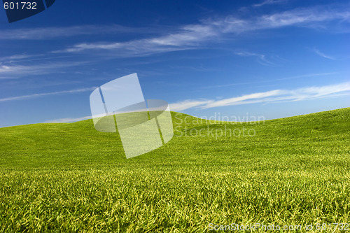 Image of Green Meadow