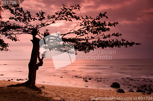 Image of Equator Beach