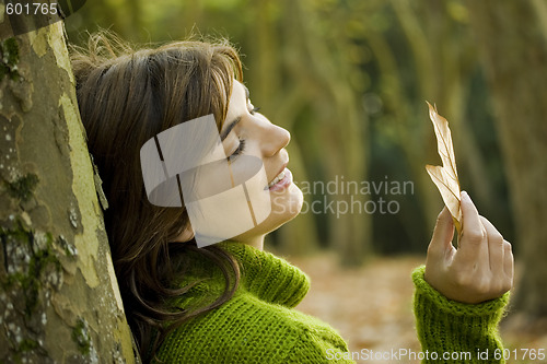 Image of Autumn Beauty