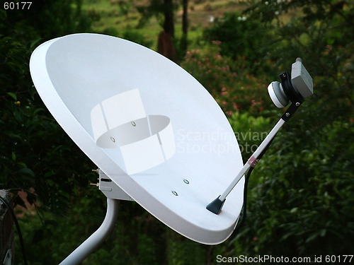 Image of Dish