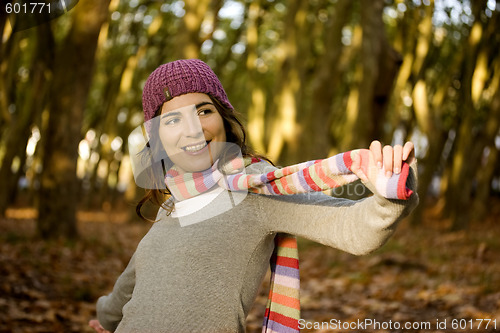Image of Autumn Beauty