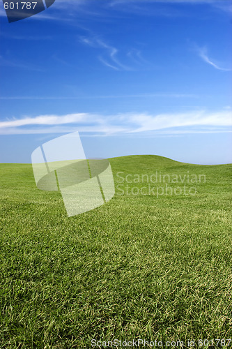 Image of Green Meadow