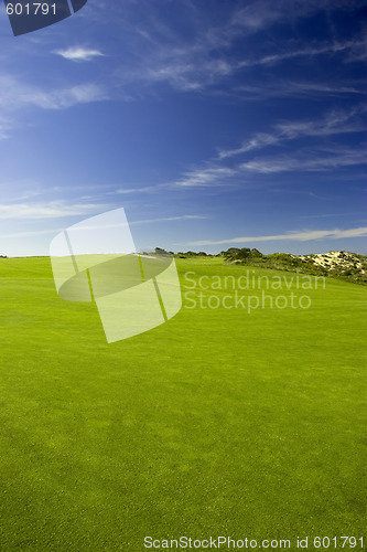 Image of Green Meadow