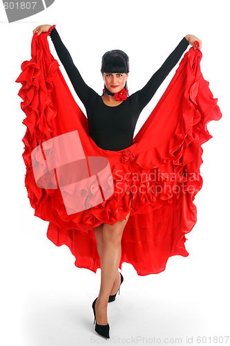 Image of Flamenco dancer