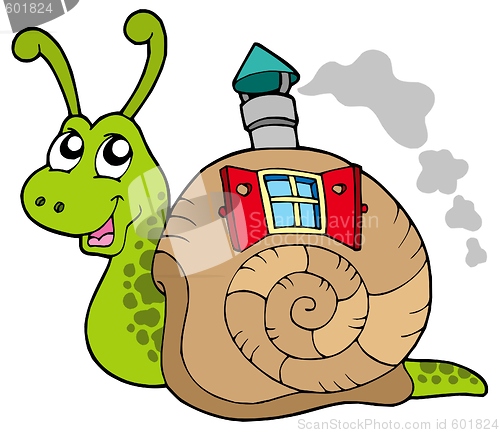 Image of Snail with shell house