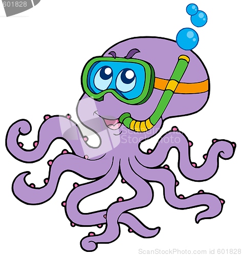 Image of Octopus snorkel diver