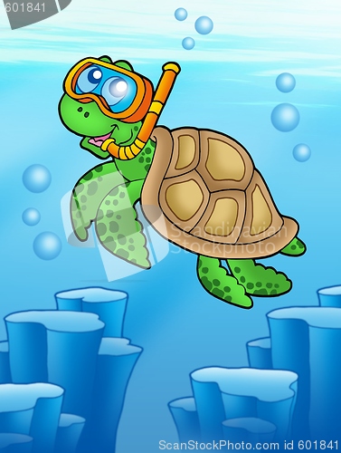 Image of Sea turtle snorkel diver underwater