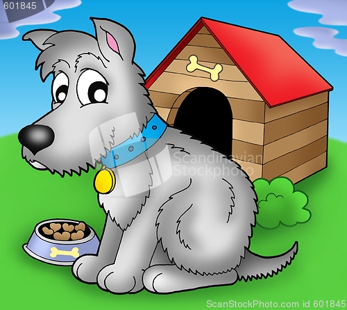 Image of Grey dog in front of kennel