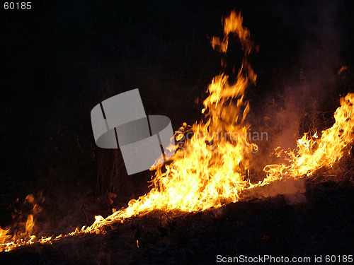 Image of Fire