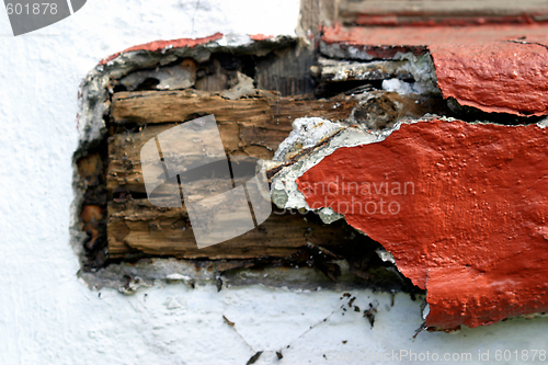 Image of Old Wood (6680)
