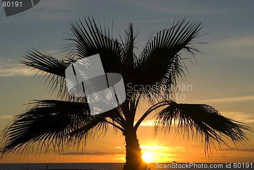 Image of caribbean sunset