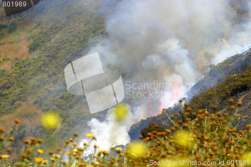 Image of Barnett Fire