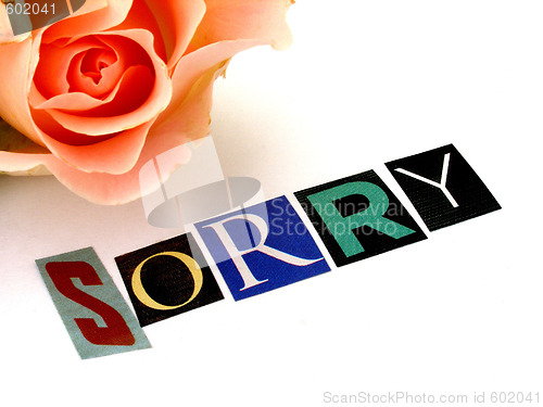 Image of sorry