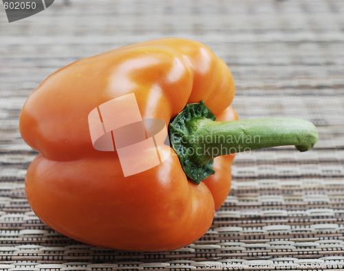 Image of Capsicum