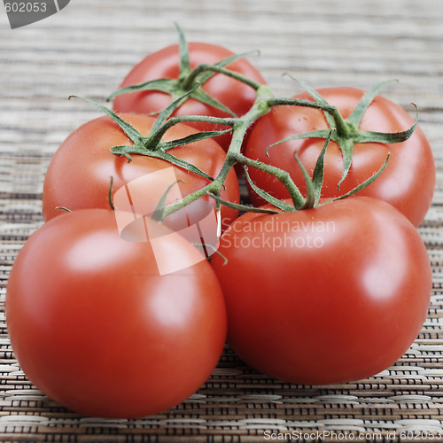 Image of Fresh tomatos