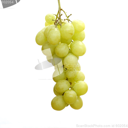 Image of Bunch of grapes