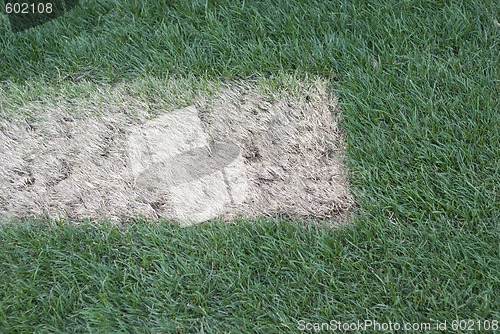 Image of Dead patch of grass.