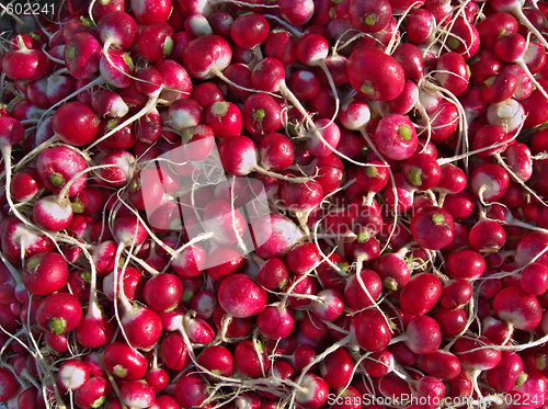 Image of ðåäèñ radish