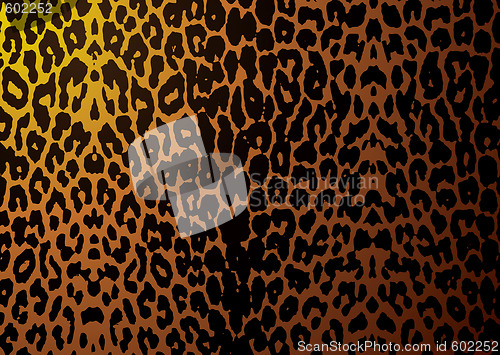 Image of leopard skin