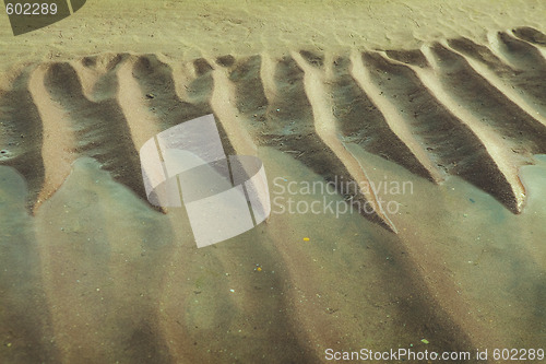 Image of sand ripples