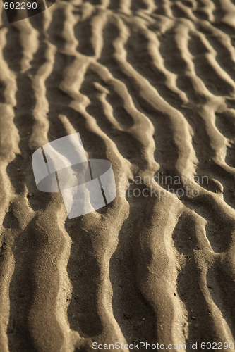 Image of sand ripples