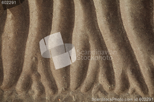 Image of sand ripples