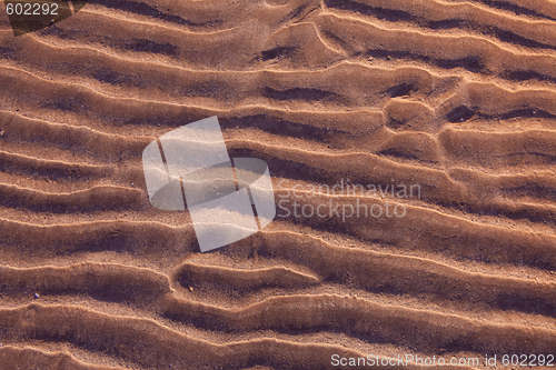 Image of sand ripples