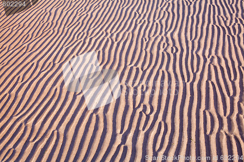 Image of sand ripples