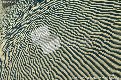 Image of sand ripples