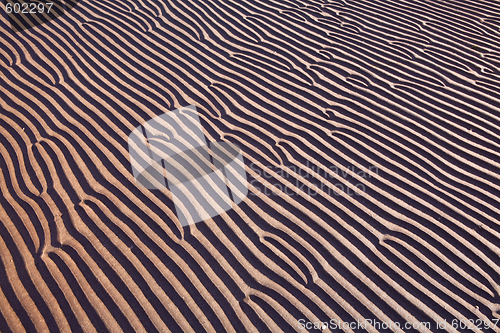 Image of sand ripples