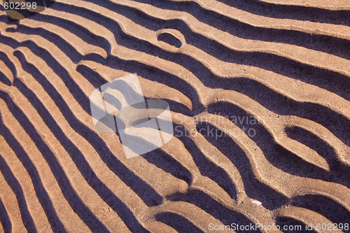 Image of sand ripples