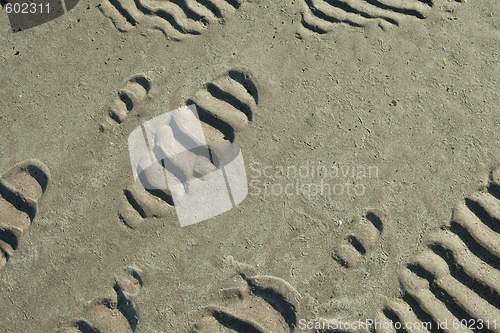 Image of sand ripples