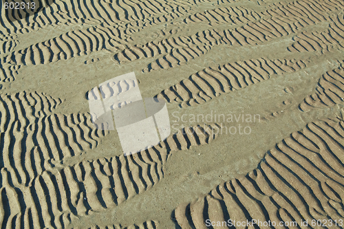 Image of sand ripples