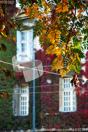 Image of Autumn urban view