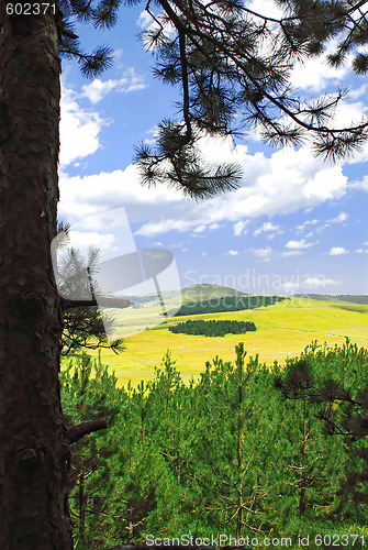 Image of Rural landscape