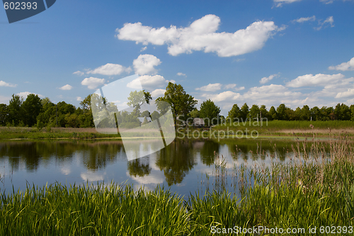 Image of  Lithuania wild landscape