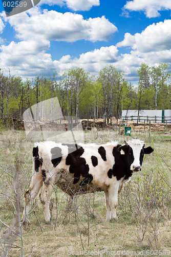 Image of Farm