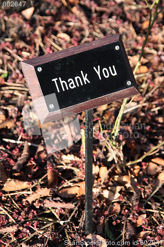 Image of Thank you