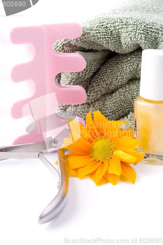 Image of pedicure beauty set
