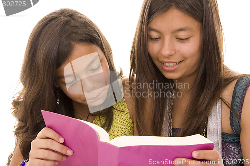 Image of Reading