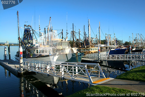 Image of Shrimp and Fishing fleet at dock