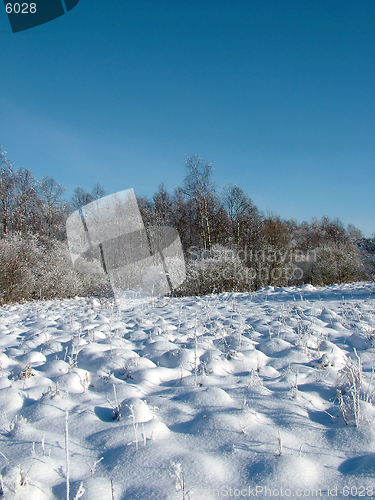 Image of Winter landscape 2