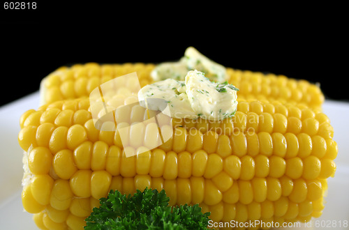 Image of Fresh Corn 2