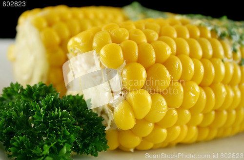 Image of Fresh Corn 6