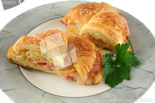 Image of Melted Cheese Croissant 1