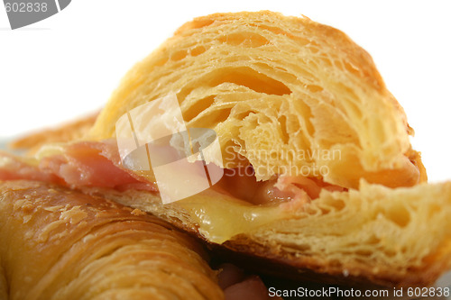 Image of Melted Cheese Croissant 5