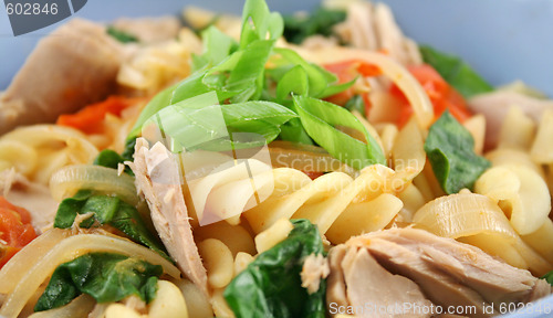 Image of Tuna Pasta Close Up