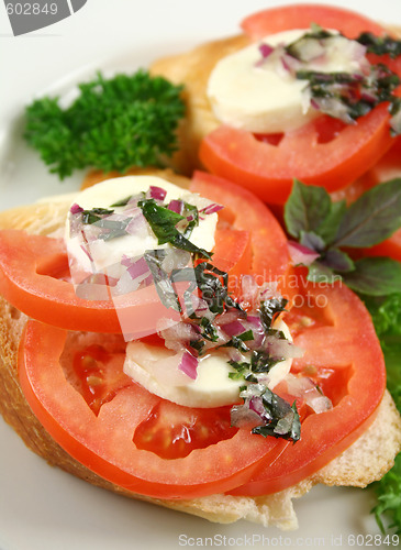 Image of Tomato And Bocconcini Bites