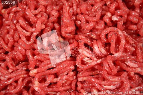 Image of Raw Minced Beef