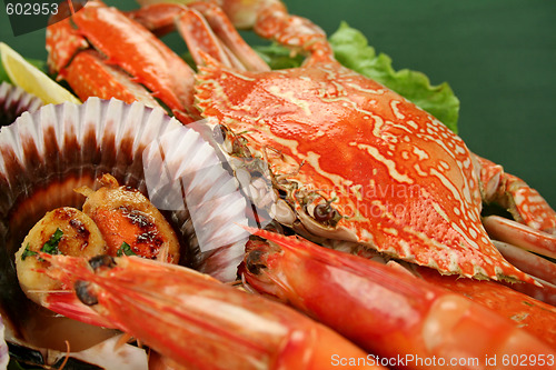 Image of Seafood Platter